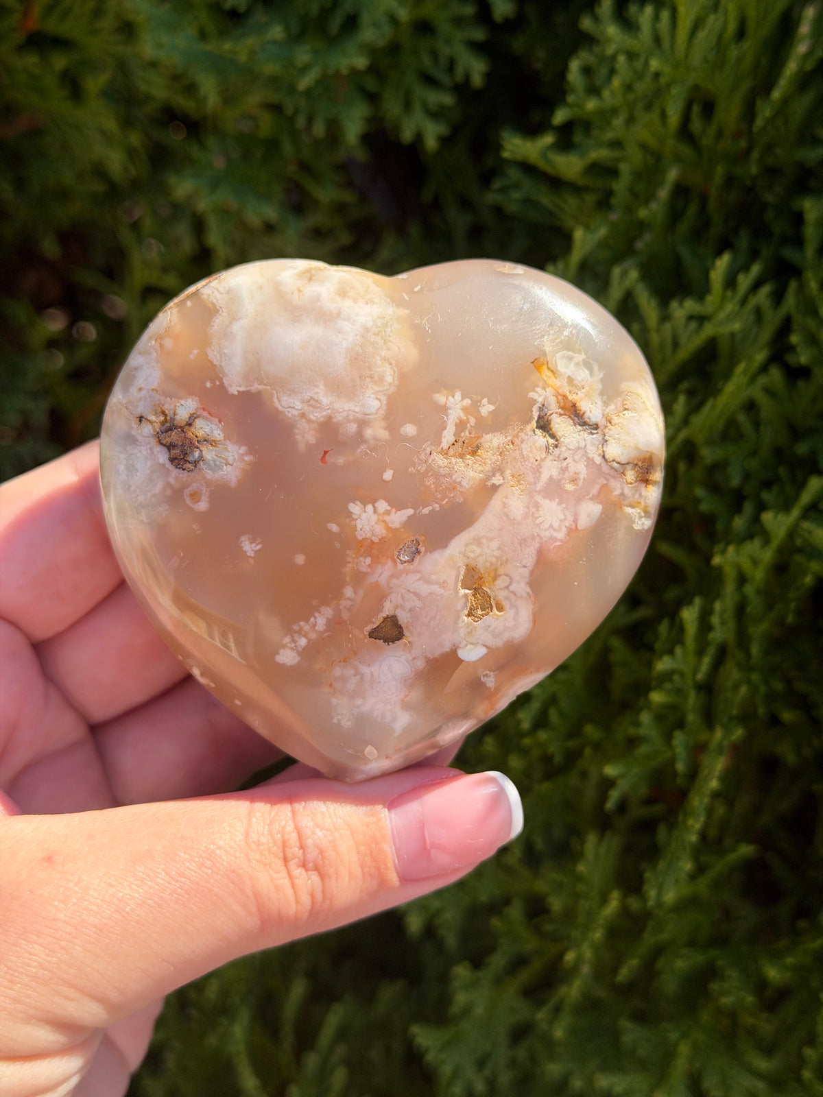 Flower Agate Heart 1