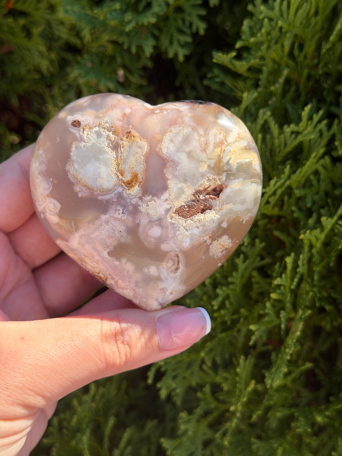 Flower Agate Heart 1