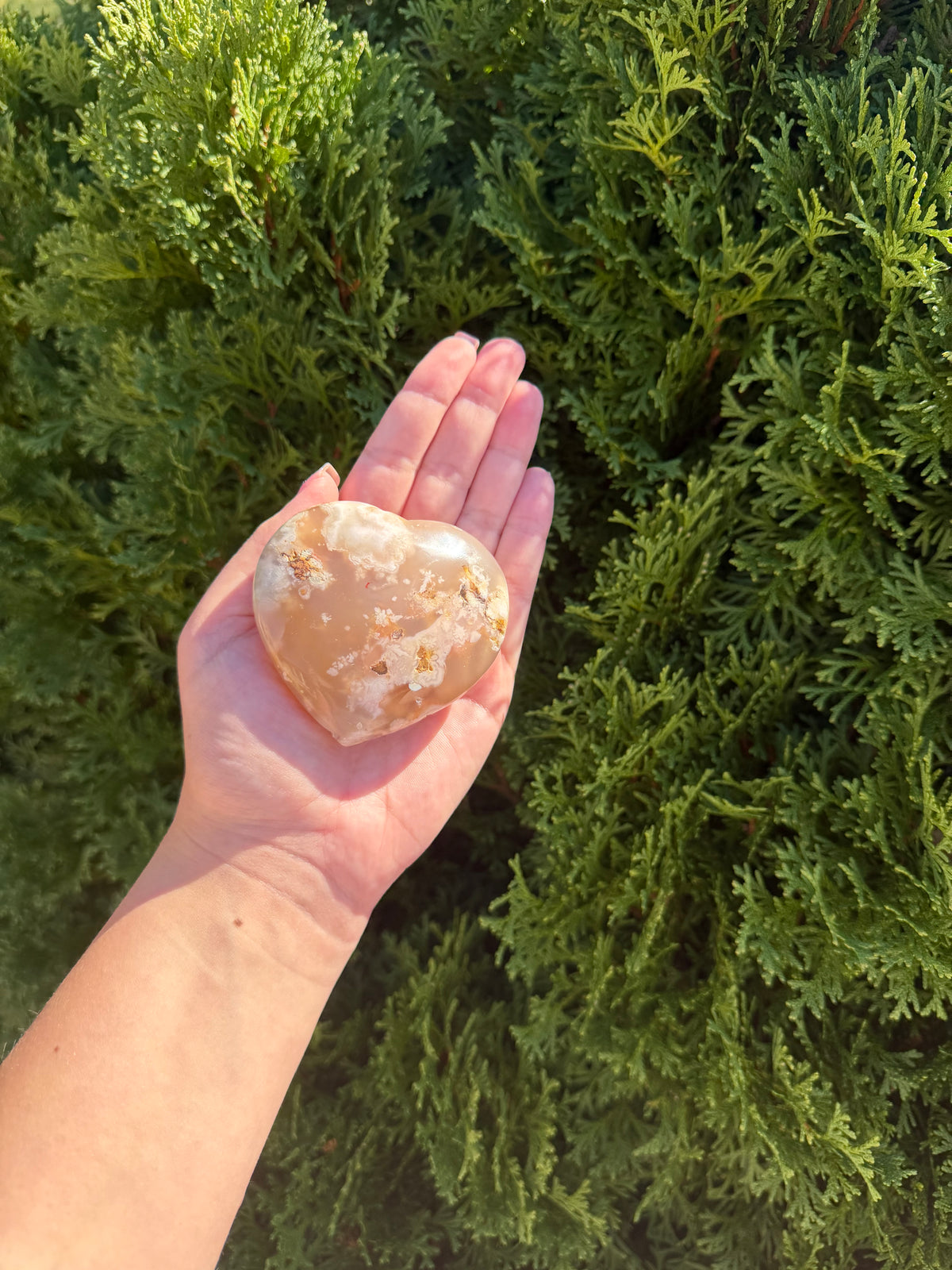 Flower Agate Heart 1