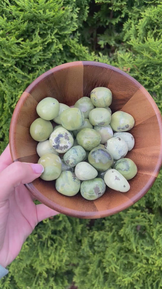 Serpentine Jasper Tumbled Stones