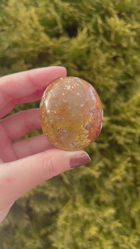 Small Ocean Jasper Palm Stone