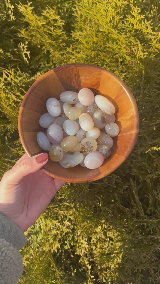 Dendritic Agate Tumbled Stone
