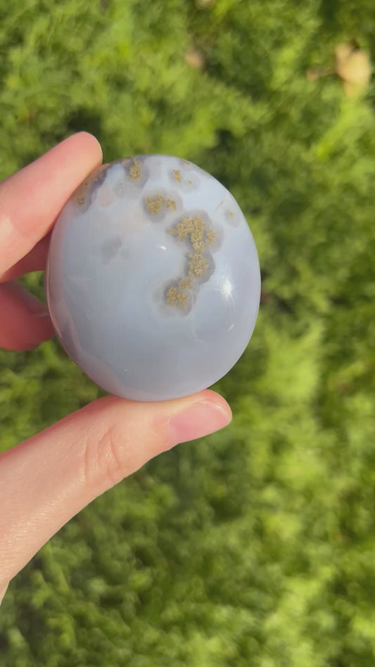 Agate Palm Stone with little bit of moss
