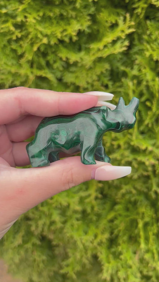 Malachite Rhinoceros