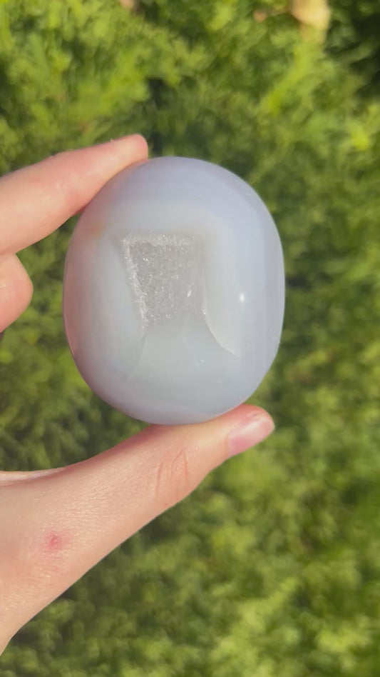 Agate Palm Stone
