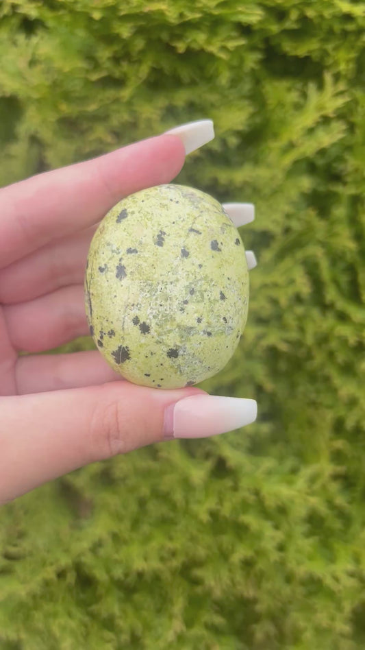 Serpentine Jasper Palm Stone